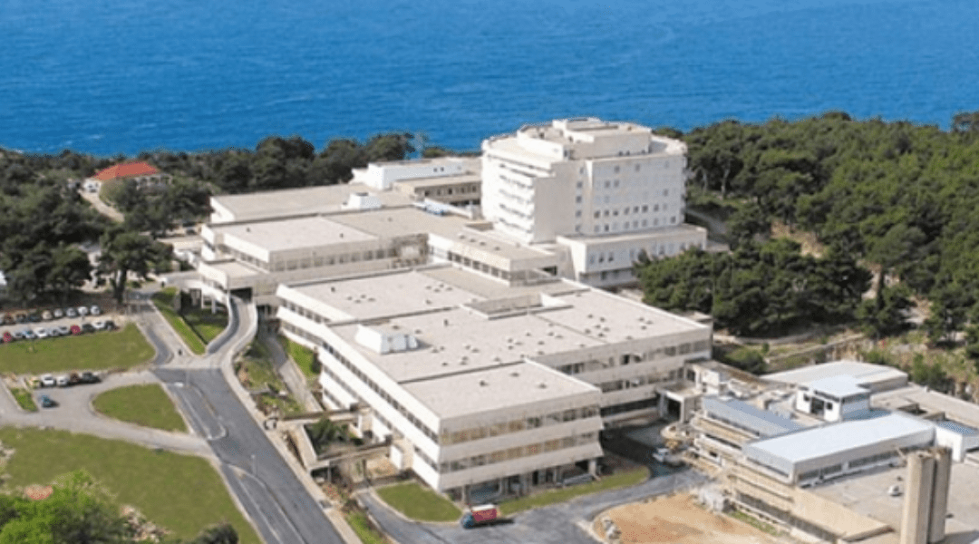 Granting to International Government Entities