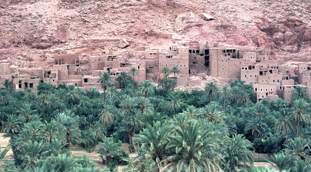 Earthquake in Morocco: Updates from the Field