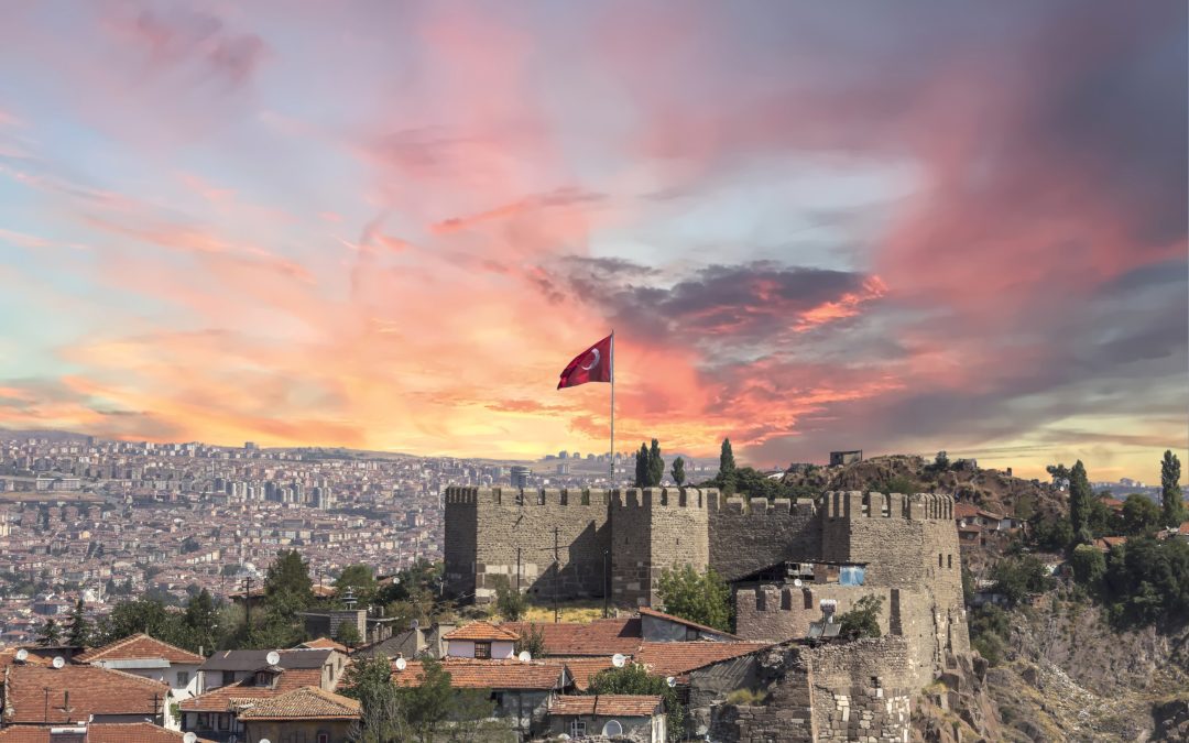 Impact Updates: One Year After the Türkiye and Syria Earthquakes