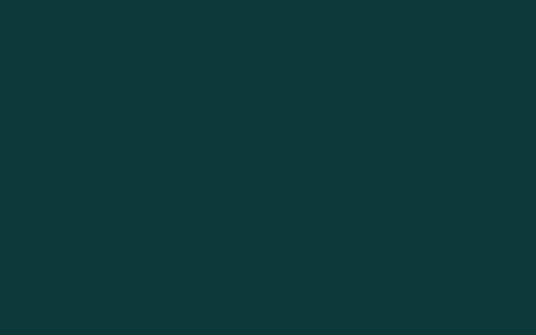 CAF America Launches the Global Relief Navigator to Support Disaster and Crisis Response