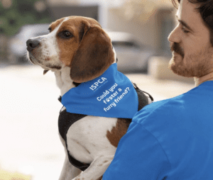 Irish Society for Prevention of Cruelty to Animals