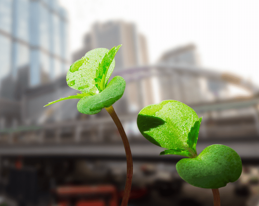 U.S. Giving to Canada: Taking Advantage of a Growing Trend