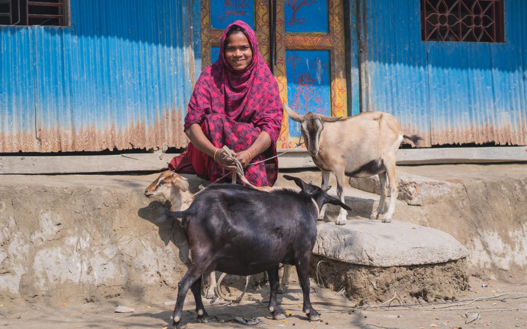 One Year of the Global Relief Navigator