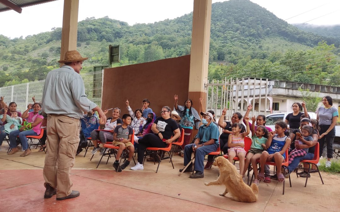 Cultivating Climate Resilience in Rural Mexico