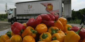 A pile of peppers and a truck - Farm to Every Table