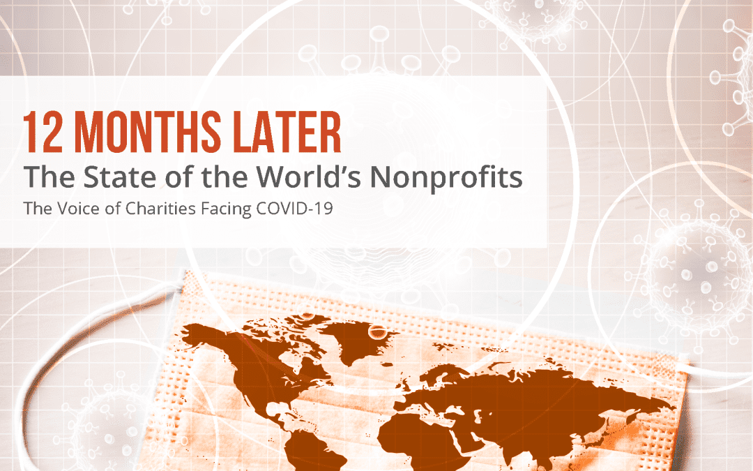 12 Months Later: The State of the World’s Nonprofits | Volume 7