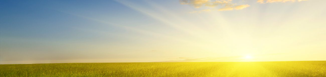 Kazickas Family Foundation