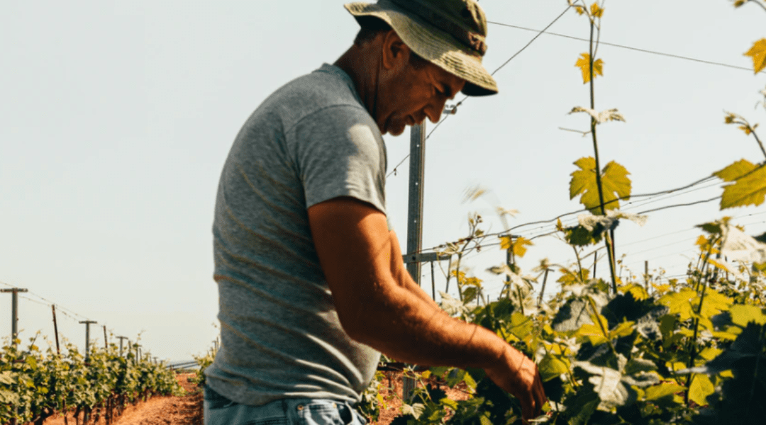 The Fight Against Hunger in Argentina